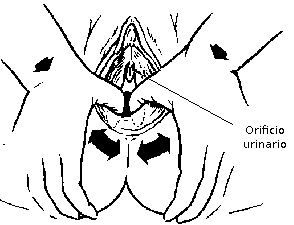 Masaje Perineal Masaje Perineal