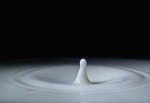 Sobre la leche