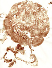 Placenta y alma